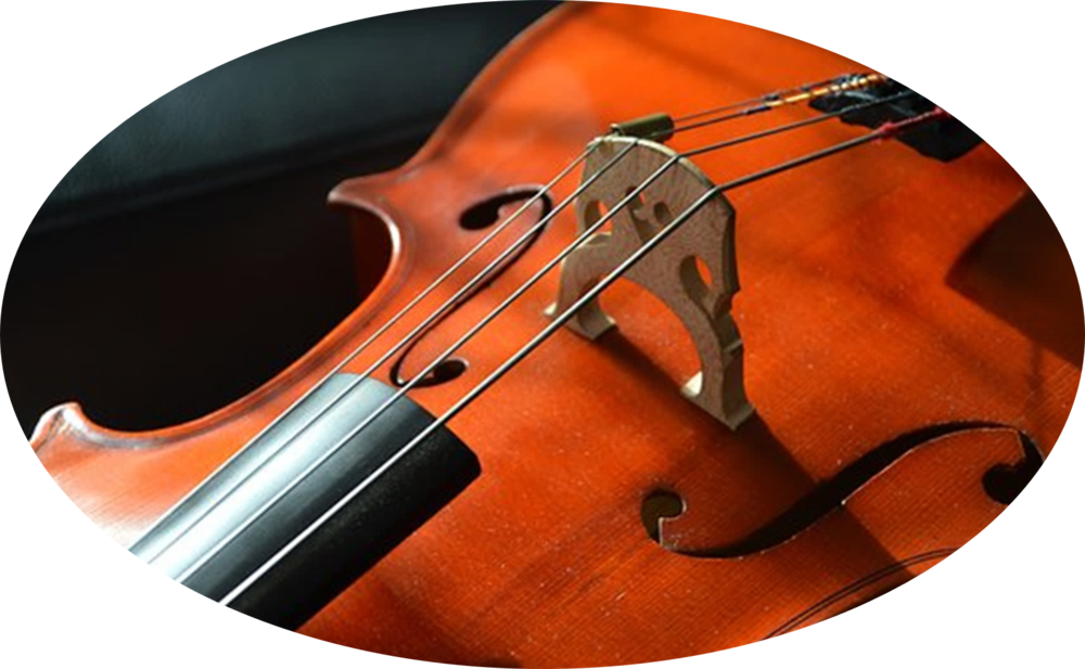 Violin And Viola - - Musical Instrument Photography Close Up (1000x617), Png Download