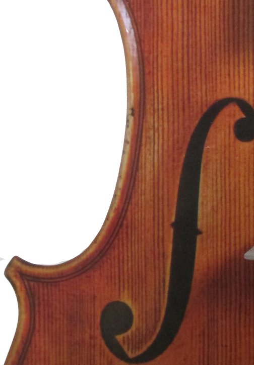 Summer Residential Course For String Players Aged 10 - Viola (504x722), Png Download