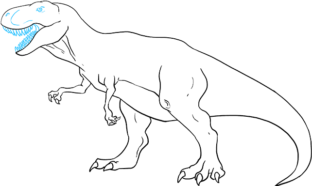 How To Draw Tyrannosaurus Rex - Tyrannosaurus (680x678), Png Download