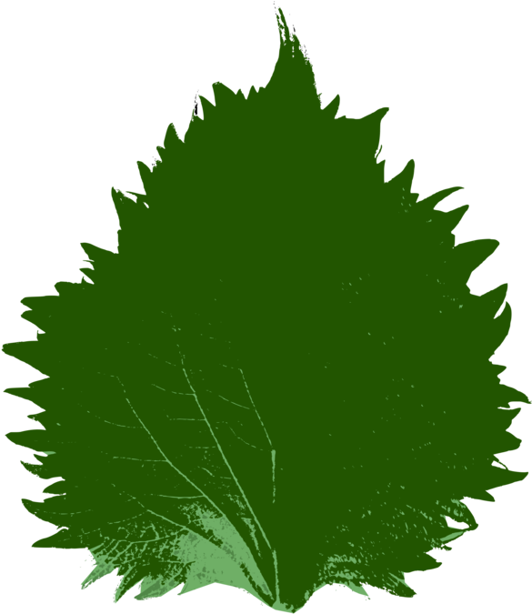 Wolverine Clipart 3d Png - Clip Art (750x750), Png Download