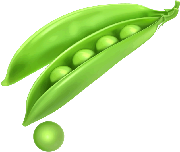 Peas Png Image Free Download Searchpng - رسم فاصولياء خضراء (715x715), Png Download