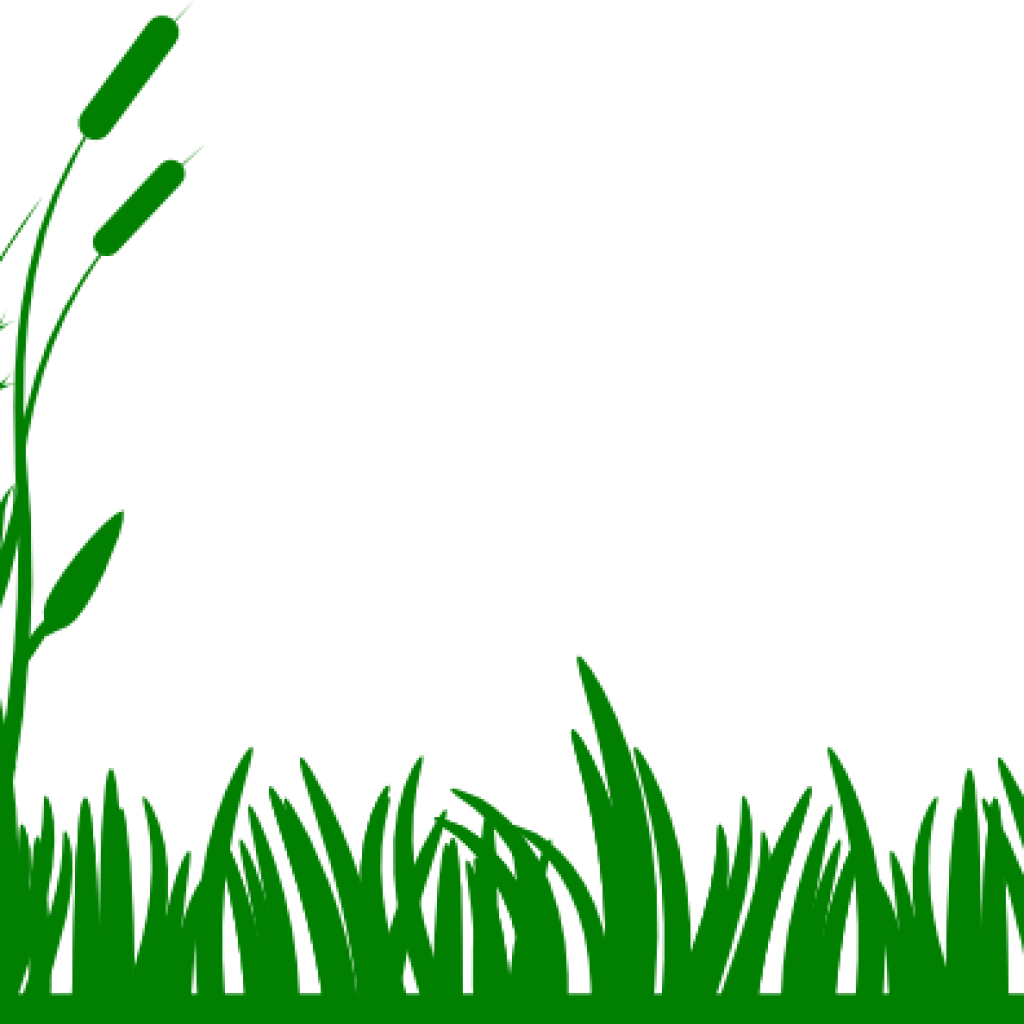 Green Grass Clip Art Greengrass Background Clipart - Outline Clip Art Grass (1024x1024), Png Download
