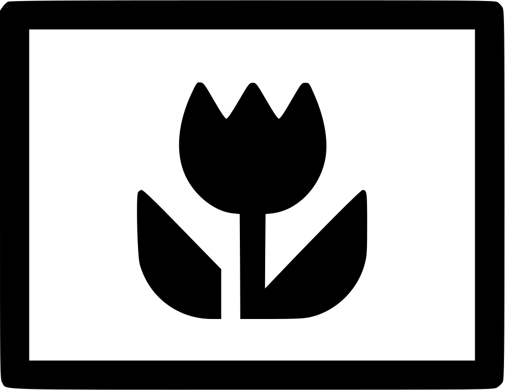 Png File - Macro Photography Icon (981x758), Png Download