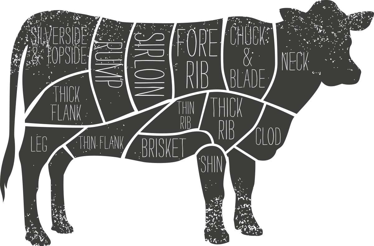 1200 X 791 11 - Cow Decal (1200x791), Png Download