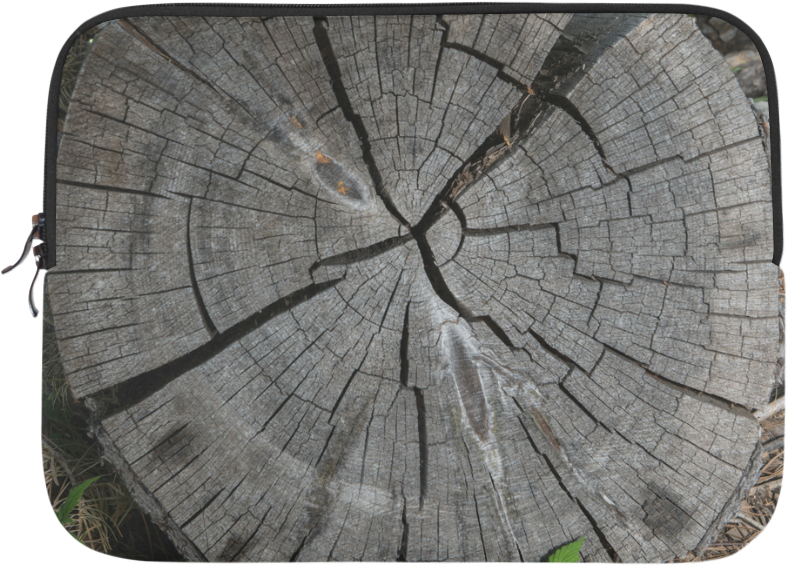 Driftwood (1000x1000), Png Download