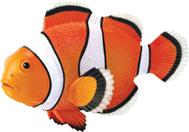4d Puzzle - Clownfish - Fish 4d (640x640), Png Download