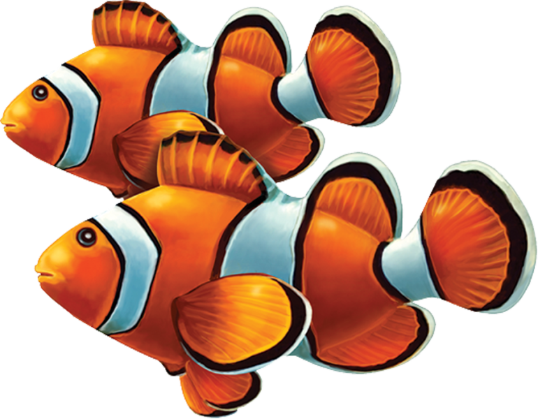 Little Tile Inc - Coral Reef Fish (770x600), Png Download