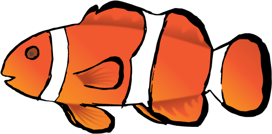 Next I Added Some Life To My Fish By Using The Pen - Coral Reef Fish (900x500), Png Download