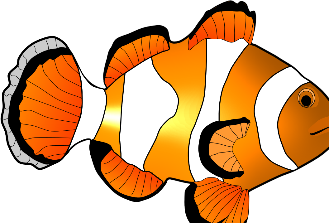 Home Images Clown Fish Clip Art Clown Fish Clip Art - Clip Art (1067x715), Png Download