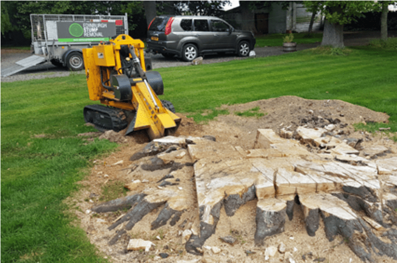 Lumber (800x800), Png Download