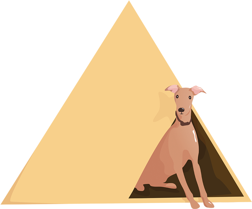 Flat Vector Dog Illustration - Animal (827x1299), Png Download