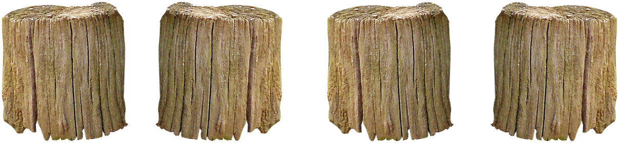 Hauklötze Wood Wood Chop - Chopped Tree Trunk Transparent (1280x438), Png Download