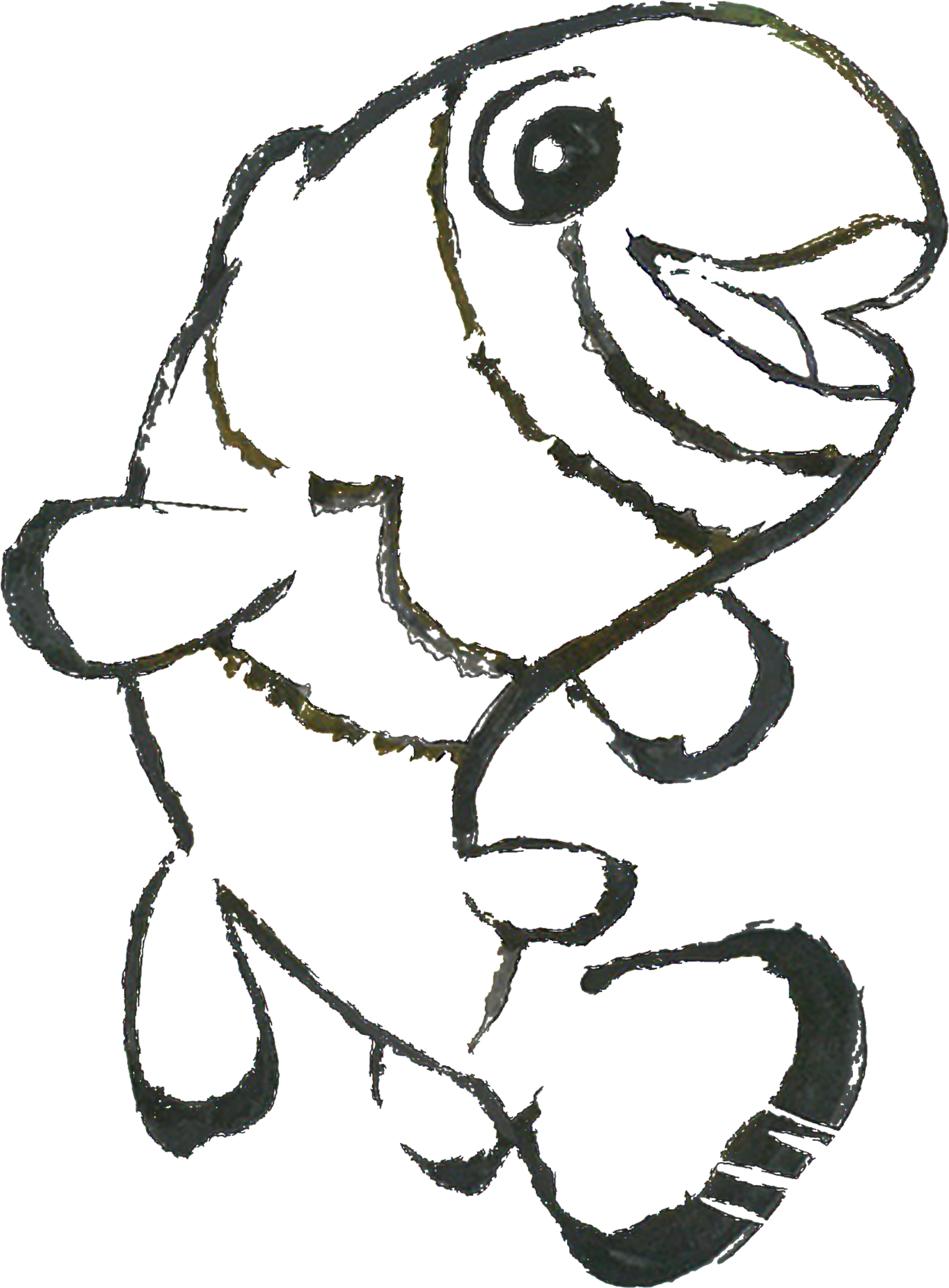 Clownfish Blurb - Sketch (2362x2362), Png Download