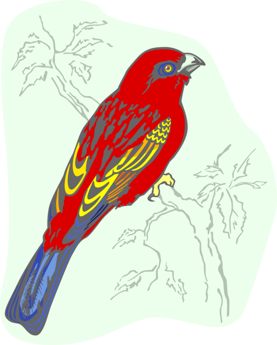 Vector Illustration Of Feathered Vertebrate Red Bird - Finch (562x700), Png Download