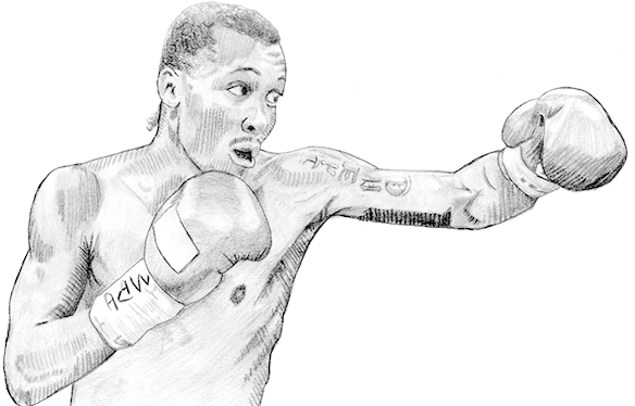 Ilustración A Lápiz - Amateur Boxing (798x404), Png Download
