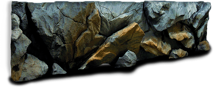 Model A26 - Modela A31 Aquadecor Backgrounds (1000x700), Png Download