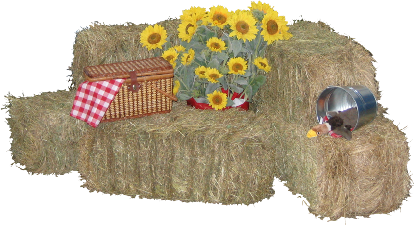 Download Hay Bale Png Bales Of Hay Png Png Image With No Background Pngkey Com Download Hay Bale Png Bales Of Hay Png Png Image With No Background Pngkey Com