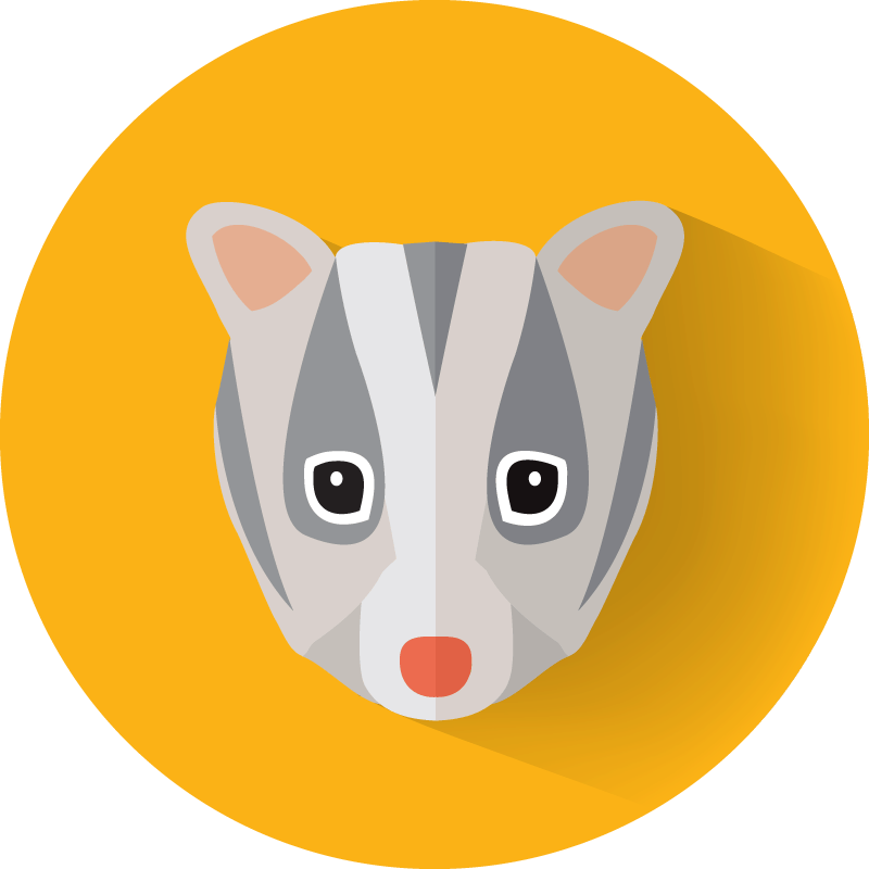 We Can All Help Save The Leadbeater's Possum By Protecting - Cartoon (800x800), Png Download