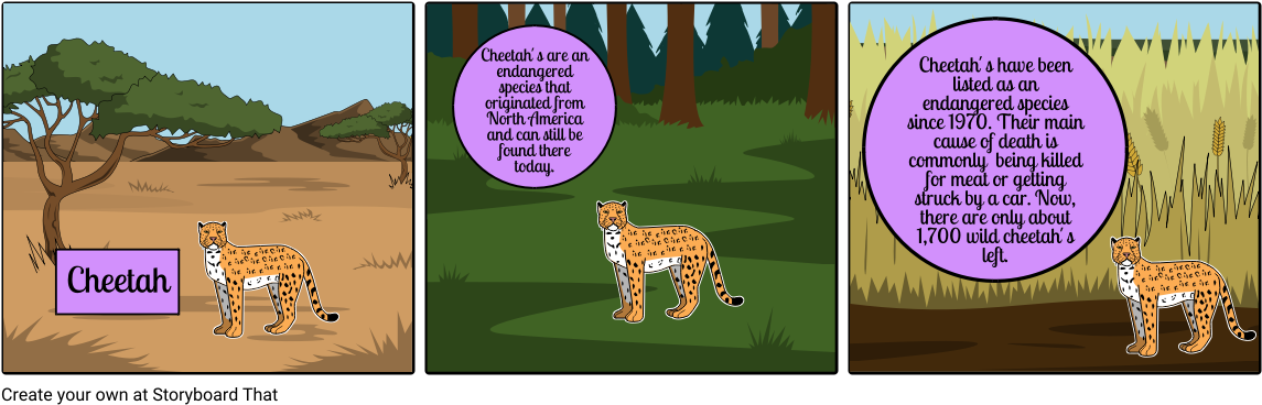 Endangered Animal Storyboard - Storyboard (1164x385), Png Download