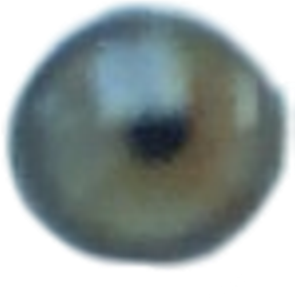 Green Eye Png (1024x1052), Png Download