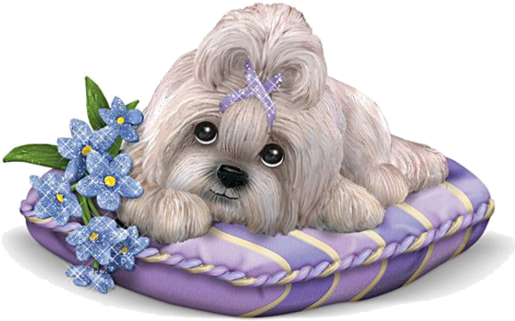 Shih Tzu Breeders, Puppy Images, Kitten Images - Dog (600x600), Png Download