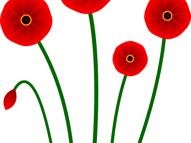 Orange Flower Clipart Single Flower - Poppy (640x480), Png Download
