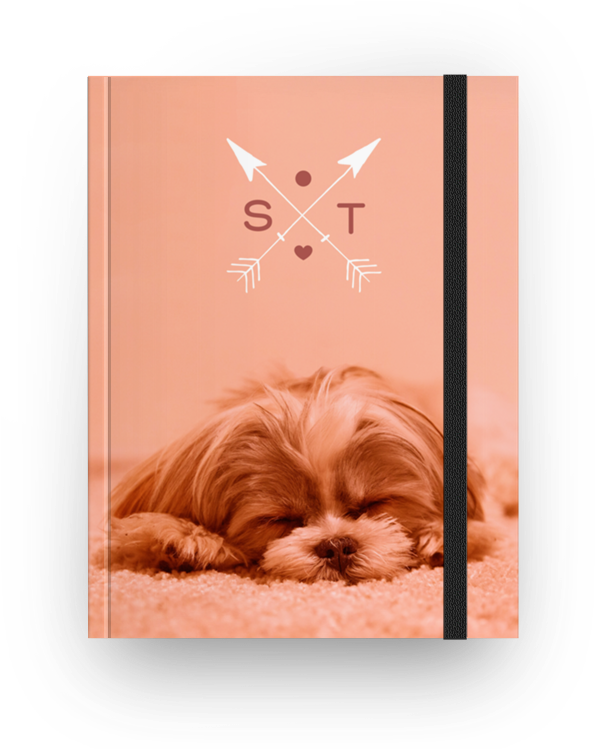 Caderno Shih-tzu De Melina Bassolina - Caderno De Cachorro Shih Tzu (800x800), Png Download