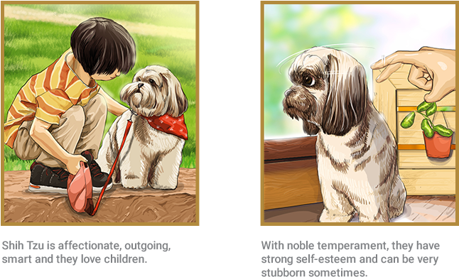 Shih Tzu - Shih Tzu Comics (657x497), Png Download