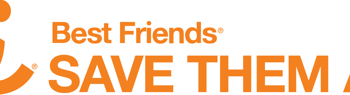 Best Friends Utah - Graphic Design (1210x331), Png Download