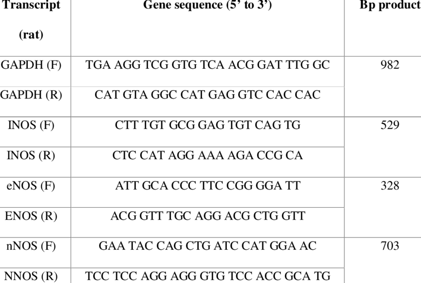 Rat Primer Sequences For The Nos Isoforms - Number (850x572), Png Download