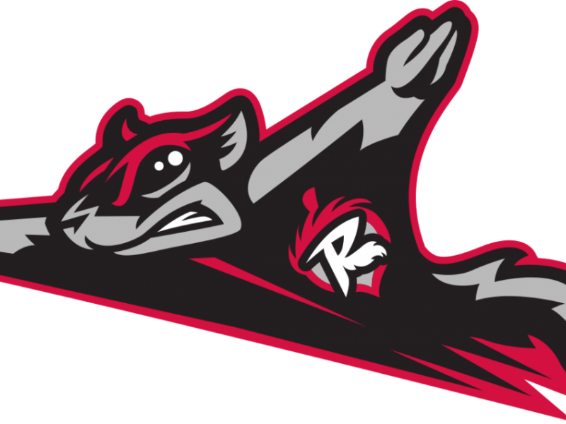 Png Library Library Fredericksburg Community Night - Flying Squirrel Baseball (800x600), Png Download