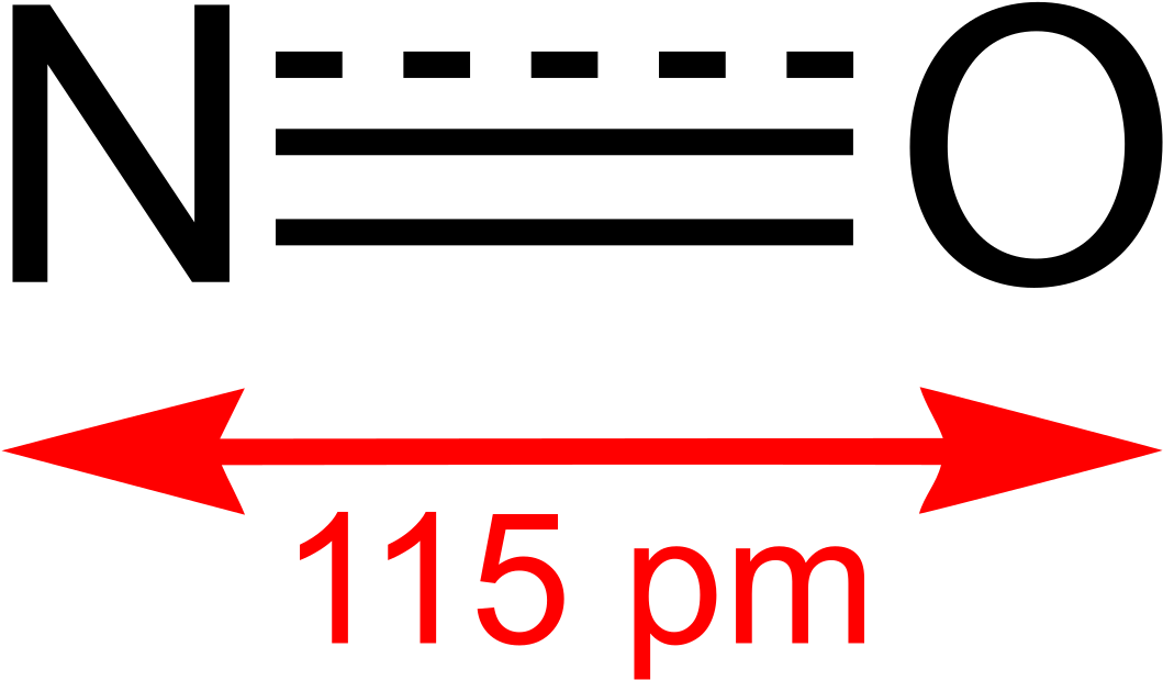 Nitric Oxide (1200x787), Png Download