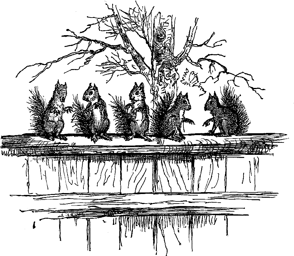 Squirrel Download - Illustration (1065x947), Png Download