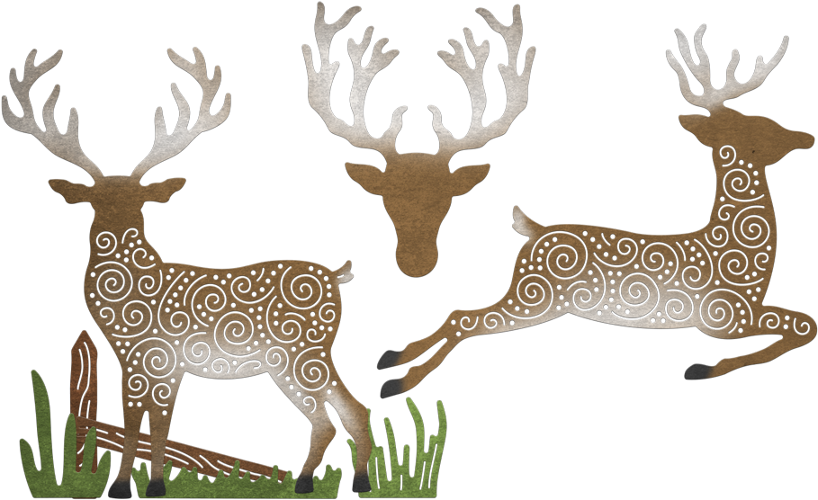 Reindeer (1000x1000), Png Download