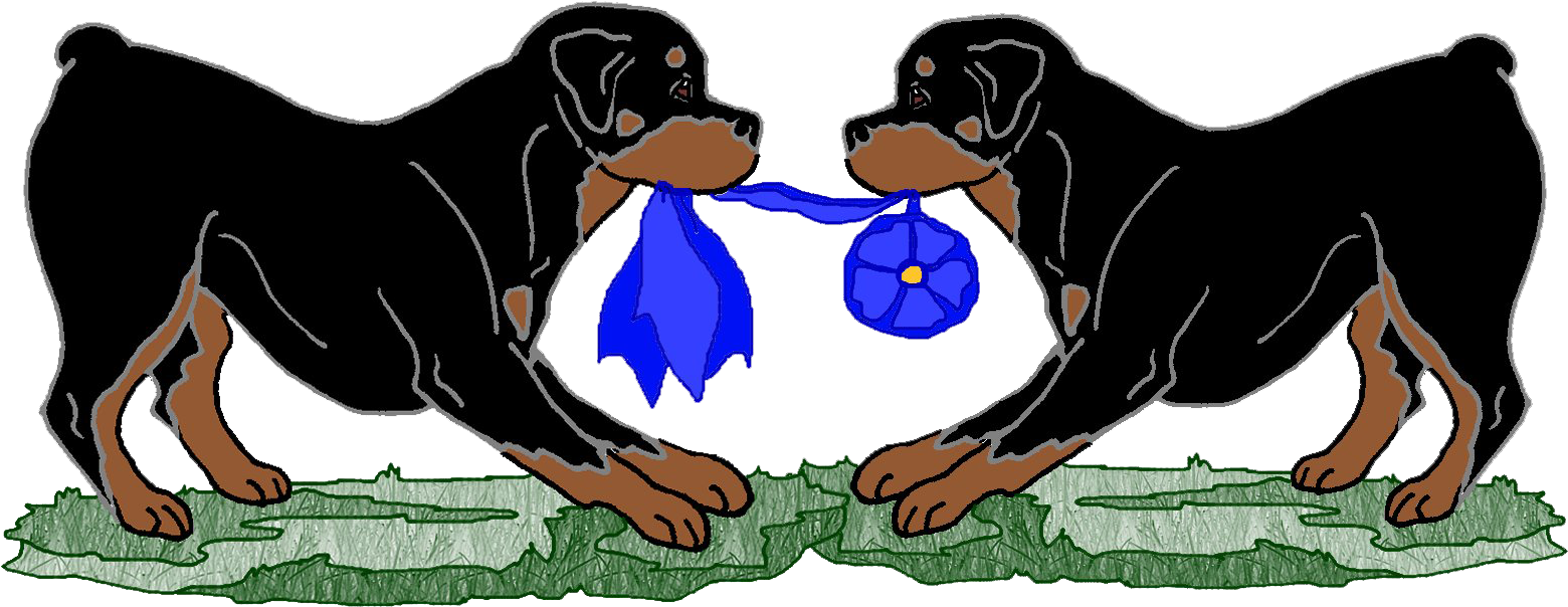 18trophydonations - Rottweiler (1590x657), Png Download