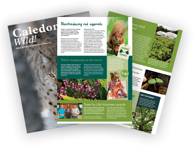 Join Trees For Life And Receive Our Exclusive Members - Brochure (647x499), Png Download