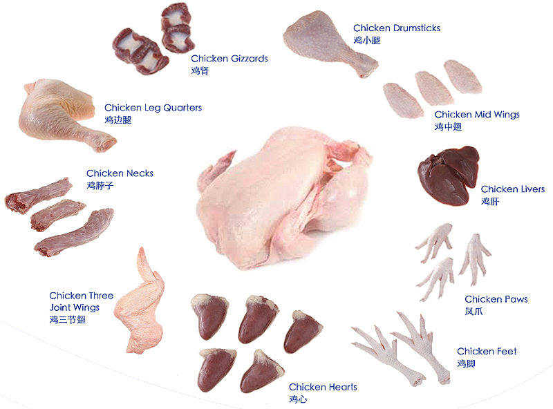 Chicken - Boneless Skinless Chicken Thighs (800x592), Png Download