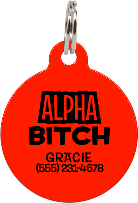 Alpha Bitch - Earrings (803x802), Png Download