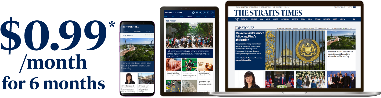 Subscribe Now To Read Your Favourite Newspapers And - Online Advertising (1496x813), Png Download
