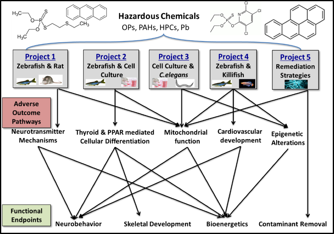 The Duke University Superfund Research Center Co-sponsors - Diagram (1099x770), Png Download