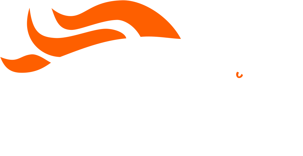 Denver Broncos (1024x569), Png Download