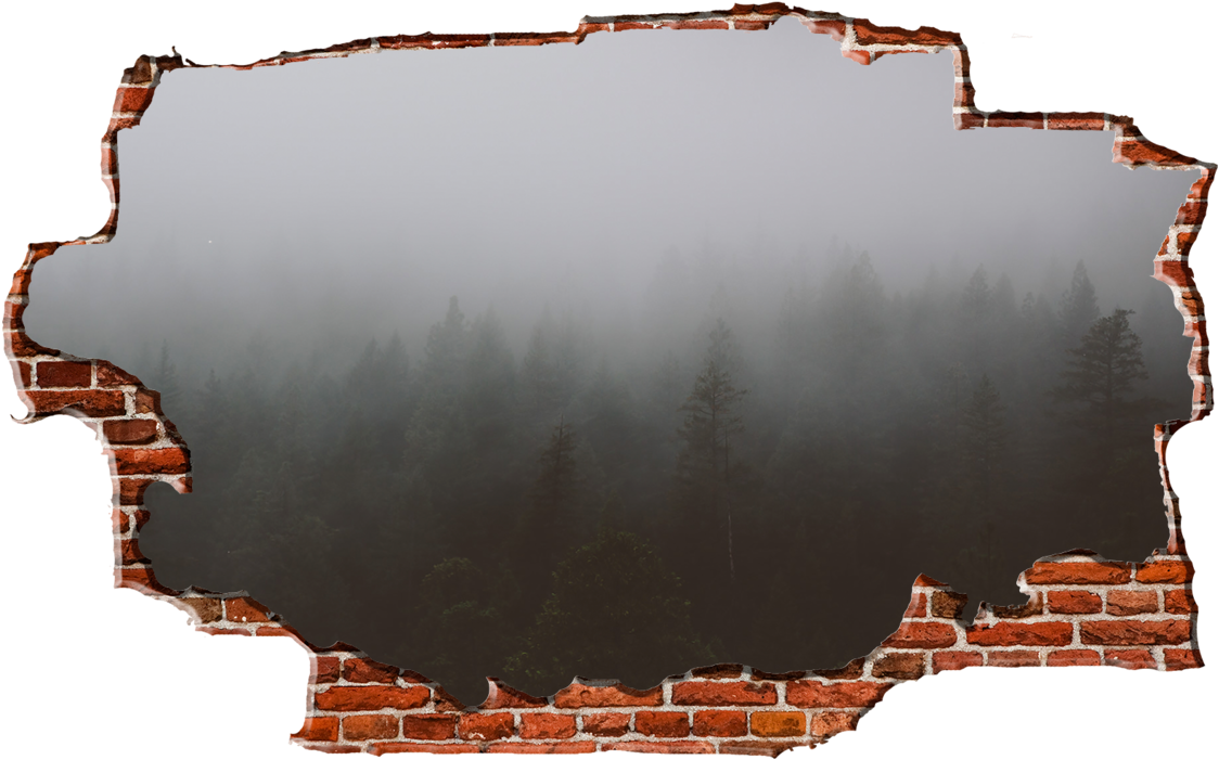 Zapwalls Decals Morning Forest Cloudy Sky Breaking - New York City (1280x750), Png Download
