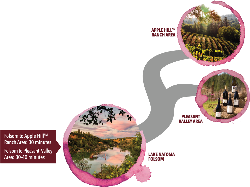 Graphic Design (1129x798), Png Download