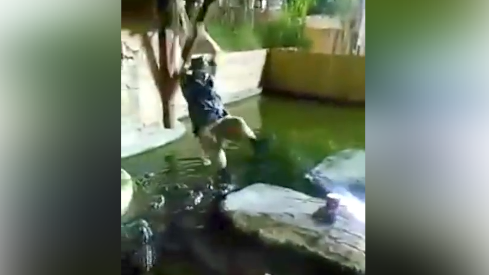 Man Plunges Into Gator-infested Pool After Rope Swing - Michael Womer Falls Into Crocodile (1920x1080), Png Download