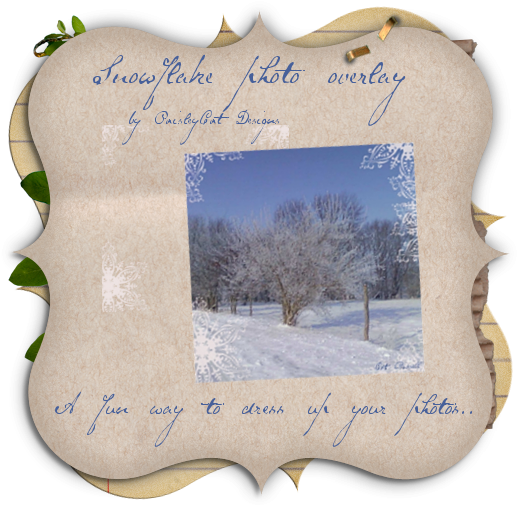 Picture Frame (605x604), Png Download