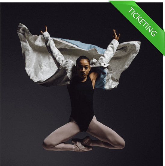 Barbican - Instagram Stories For Movie Ads (581x592), Png Download