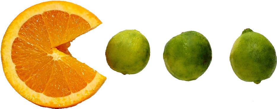 Who Doesn't Love A Delicious And Juicy Orange As A - Orange Fruit (1024x399), Png Download