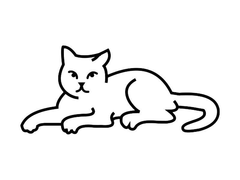 Gato Png - Gato Base Png (800x600), Png Download