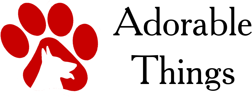 Adorable Things (1024x319), Png Download