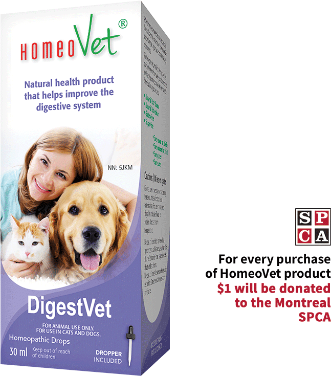 Digestvet - Dog (1000x1000), Png Download